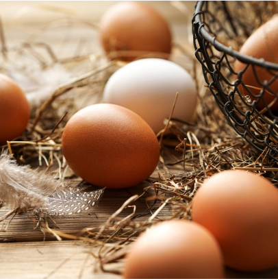 Oeufs Bio de la Ferme de Laveau, vente directe et en circuit dans la Seine et Marne (77)